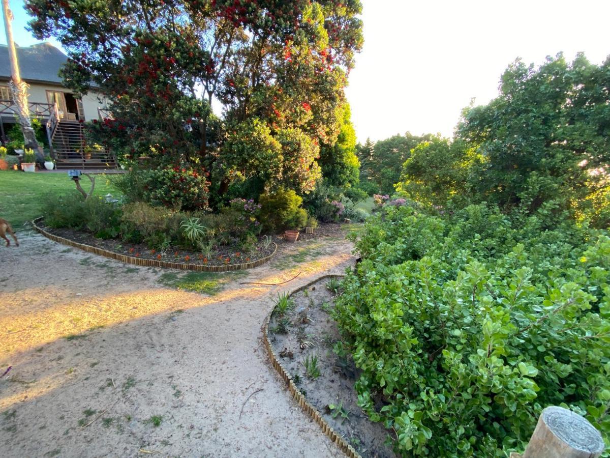 Wild Rose Country Lodge Noordhoek Bagian luar foto