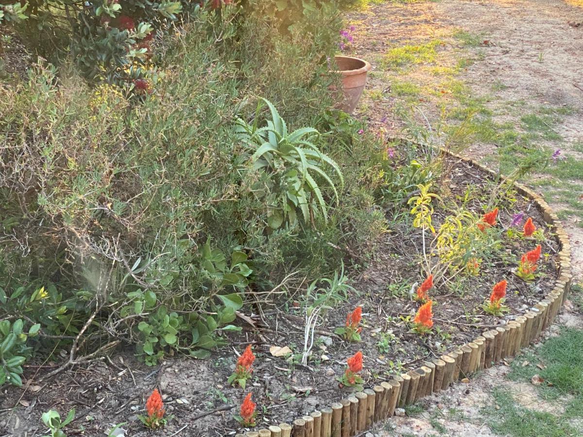 Wild Rose Country Lodge Noordhoek Bagian luar foto