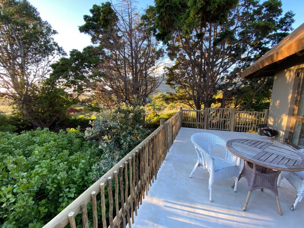 Wild Rose Country Lodge Noordhoek Bagian luar foto