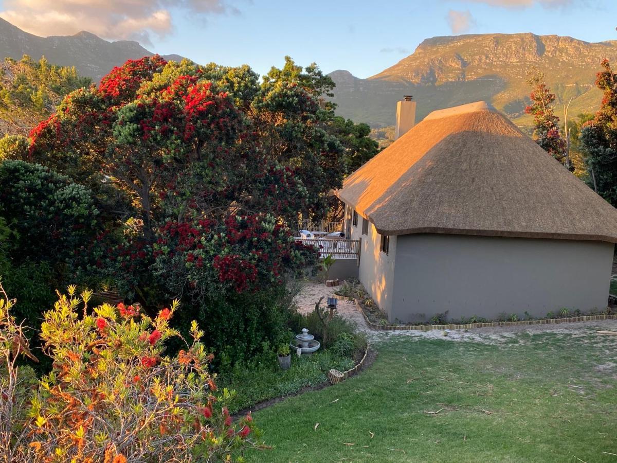 Wild Rose Country Lodge Noordhoek Bagian luar foto